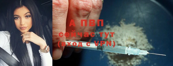 2c-b Бородино