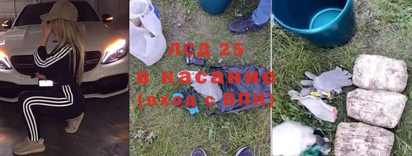 2c-b Бородино