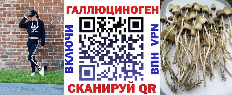 Псилоцибиновые грибы Magic Shrooms  KRAKEN   Нижнекамск  наркошоп 